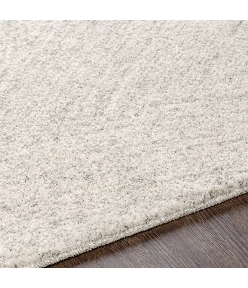 Surya Gavic GVC-2307 7 10 x 10  Rug