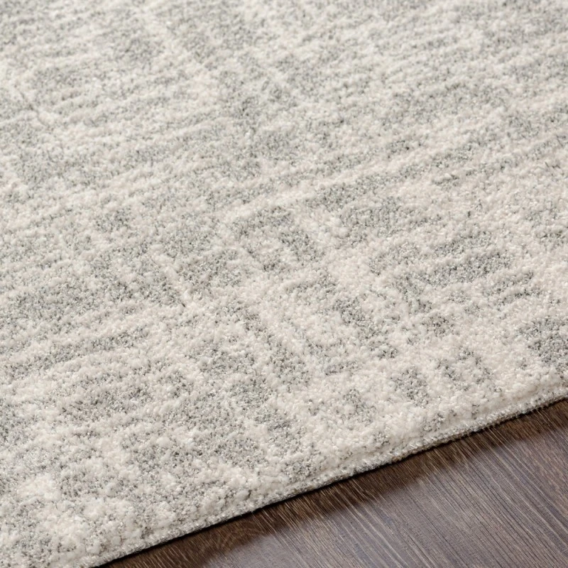 Surya Gavic GVC-2308 7 10 x 10  Rug