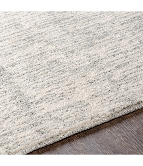 Surya Gavic GVC-2309 4 3 x 5 11 Rug