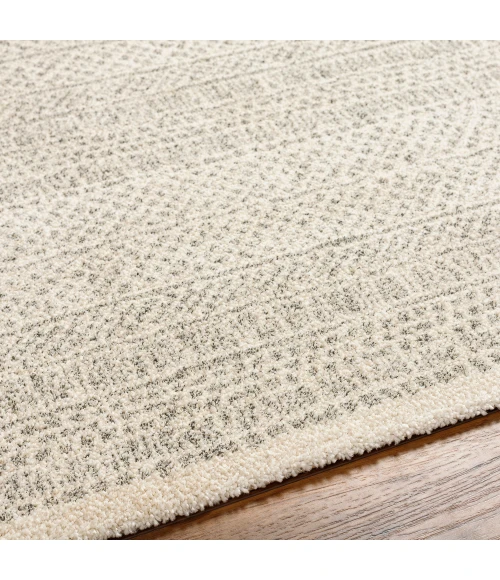 Surya Gavic Rug GVC2312