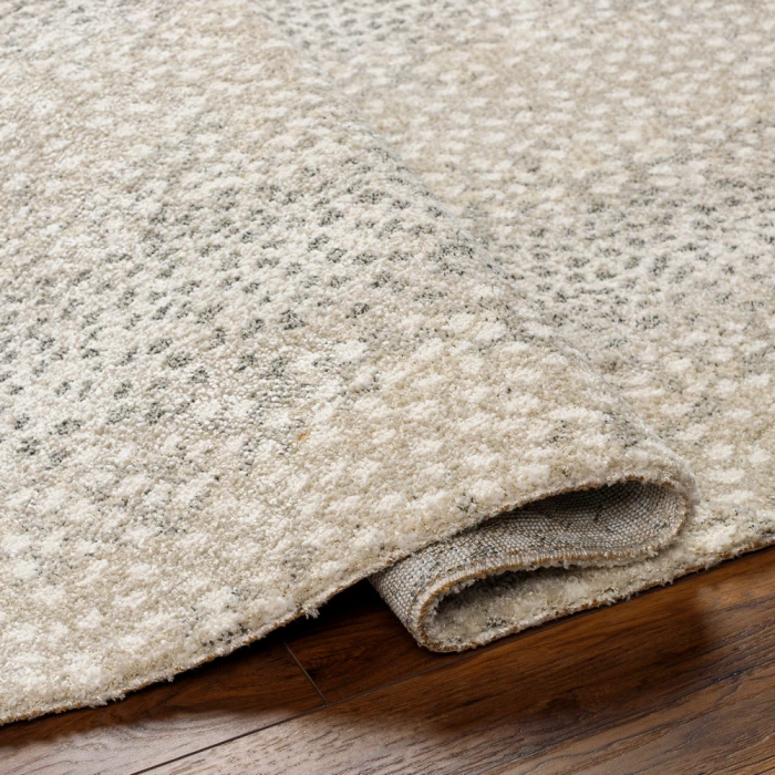 Surya Gavic Rug GVC2313