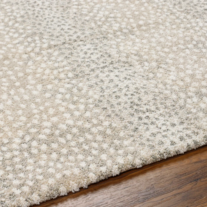 Surya Gavic Rug GVC2313