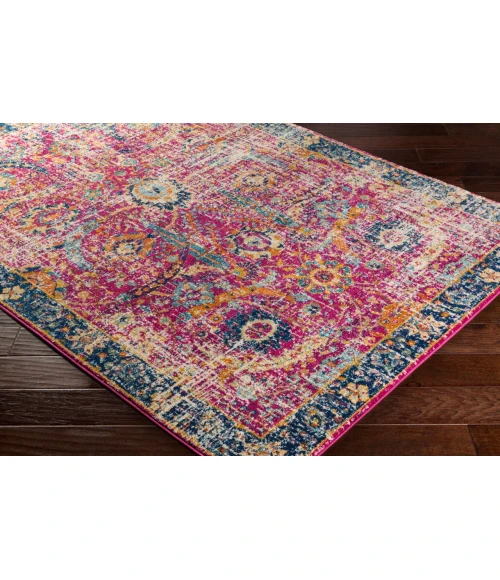 Livabliss Harput HAP-1013-311x57 rug