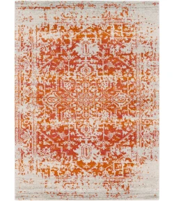 Livabliss Harput HAP1019 Burnt Orange Light Gray Area Rug 3 ft. 11 in. X 5 ft. 7 in. Rectangle