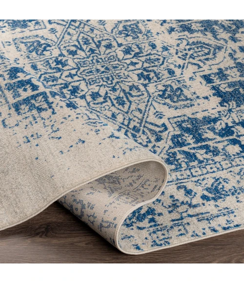 Livabliss Harput HAP-1021-2x3 rug