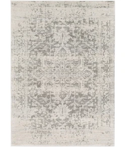Livabliss Harput HAP1024 Charcoal Light Gray Area Rug 3 ft. 11 in. X 5 ft. 7 in. Rectangle