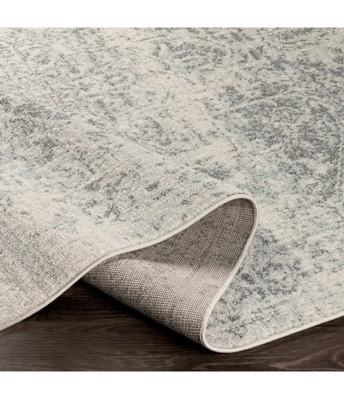 Livabliss Harput HAP-1024-27x73 rug