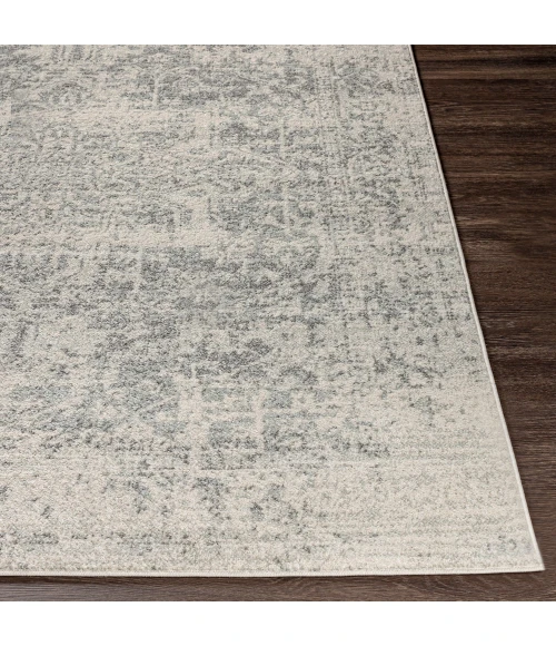 Livabliss Harput HAP-1024-27x73 rug