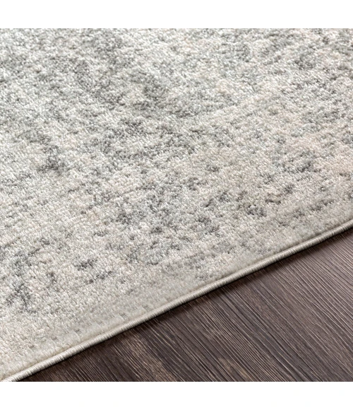 Livabliss Harput HAP-1024-27x73 rug