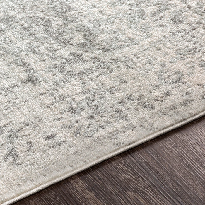 Livabliss Harput HAP-1024 2 7 x 16  Rug