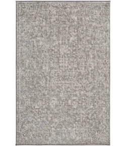 Livabliss Harput HAP1029 Charcoal Light Gray Area Rug 2 ft. X 3 ft. Rectangle