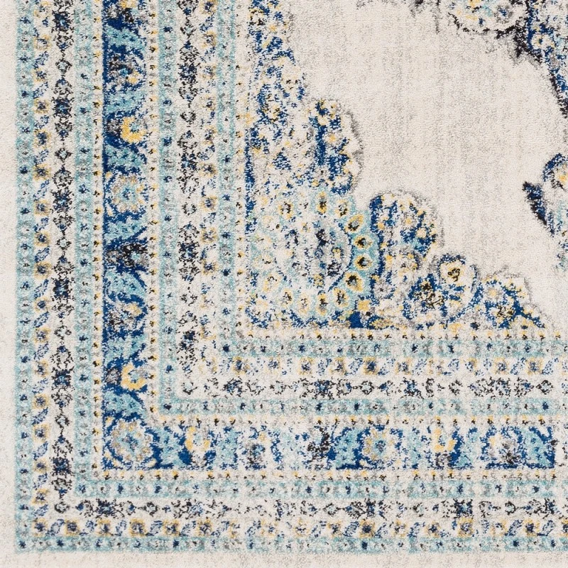 Surya Harput HAP-1031 2'7" x 7'3" Rug