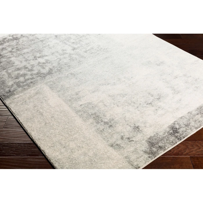 LIVABLISS Harput Medium Gray HAP-1059 2ft.7in. x 7ft.3in. Rect. Rug