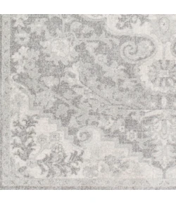 Livabliss Harput HAP1070 Light Gray Charcoal Area Rug 2 ft. X 3 ft. Rectangle