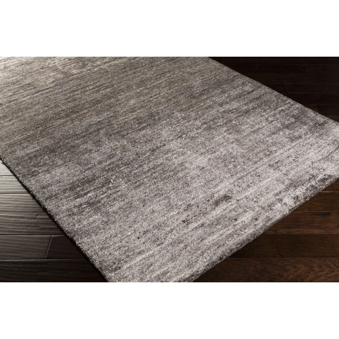 Surya Haize HAZ-6002-2x3 rug