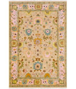 Surya Hillcrest HIL9043 Tan Bright Pink Area Rug 3 ft. 6 in. X 5 ft. 6 in. Rectangle