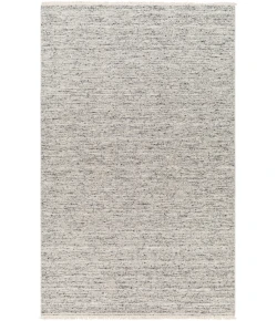 Surya Hamburg HMB2301 Taupe Light Grey Area Rug 2 ft. X 3 ft. Rectangle
