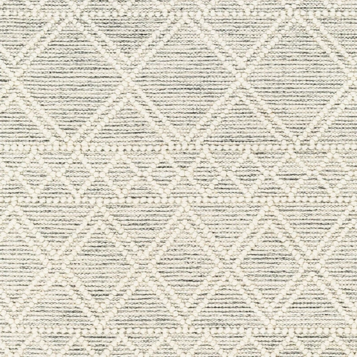 Livabliss Hemingway Ivory HMG-2303 27 in. X 45 in. Rect. Rug