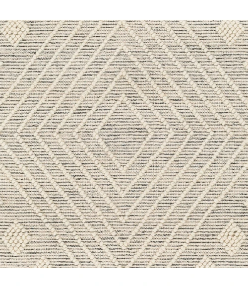 Livabliss Hemingway Ivory HMG-2306 27 in. X 45 in. Rect. Rug