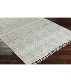 Surya Idina IDI8801 Taupe Ivory Area Rug 9 ft. X 12 ft. Rectangle
