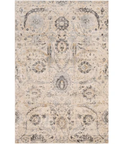 Livabliss Indigo IGO2319 Charcoal Beige Area Rug 4 ft. 3 in. X 5 ft. 7 in. Rectangle