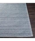 Surya Irvine IRV-2301 2  x 3  Rug