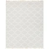 Surya Isle ISL-3000 8' x 10' Rectangle Rug