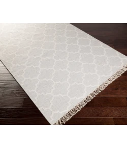 Surya Isle ISL3000 Silver Gray Cream Area Rug 3 ft. 3 in. X 5 ft. 3 in. Rectangle