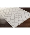 Surya Isle ISL-3001-2x3 rug