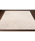 Surya Jaque JAQ-4000-4x6 rug