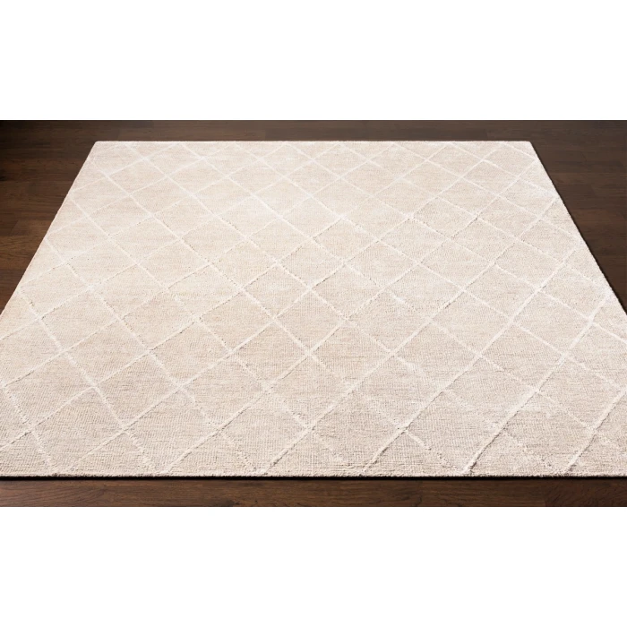 Surya Jaque JAQ-4000-4x6 rug