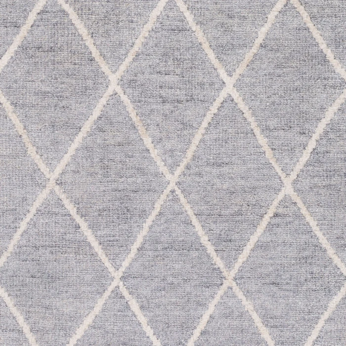 Surya Jaque JAQ-4001-4x6 rug