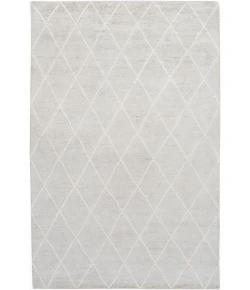Surya Jaque JAQ4002 Light Gray Ivory Area Rug 2 ft. X 3 ft. Rectangle