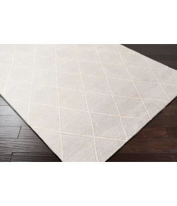 Surya Jaque JAQ4002 Light Gray Ivory Area Rug 2 ft. X 3 ft. Rectangle
