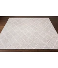 Surya Jaque JAQ-4002-2x3 rug