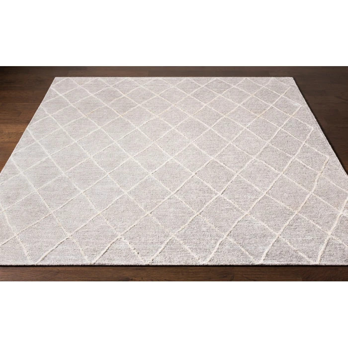 Surya Jaque JAQ-4002-2x3 rug