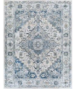 Livabliss Jolie JLO2305 Medium Gray Tan Area Rug 7 ft. 10 in. X 10 ft. Rectangle