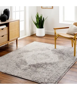 Livabliss Juliet JLT2305 Light Gray Tan Area Rug 6 ft. 7 in. X 9 ft. Rectangle