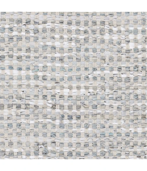Surya Jamie JMI-8001-2x3 rug