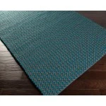 Surya Juno JNO1004 Aqua Dark Brown Area Rug 2 ft. X 3 ft. Rectangle