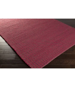 Surya Juno JNO1005 Bright Pink Dark Brown Area Rug 2 ft. X 3 ft. Rectangle