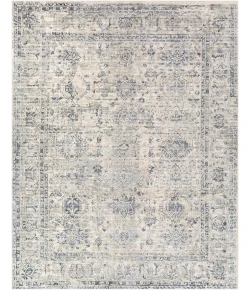Surya Jordan JOR2301 Multi Area Rug 8 ft. 10 in. X 12 ft. Rectangle