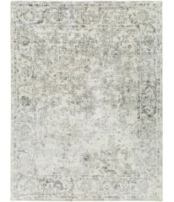 Surya Jordan JOR2304 Medium Gray Light Gray Area Rug 2 ft. X 3 ft. Rectangle