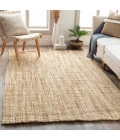 Surya Jute Woven JS-1001 2  x 3  Rug