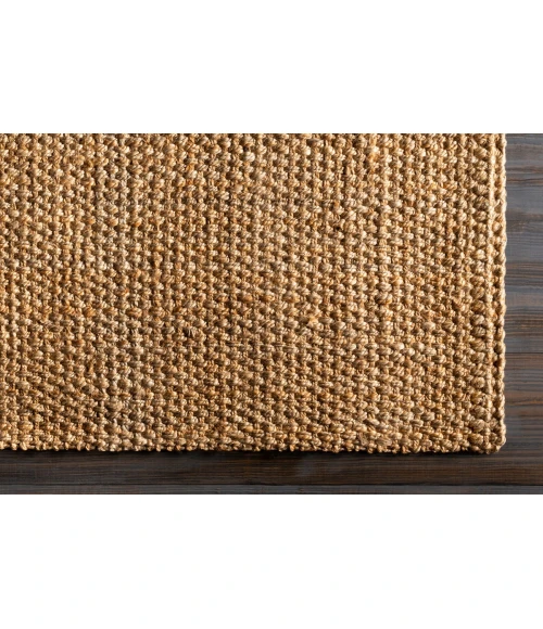 Livabliss Jute Woven JS-2-2x3 rug