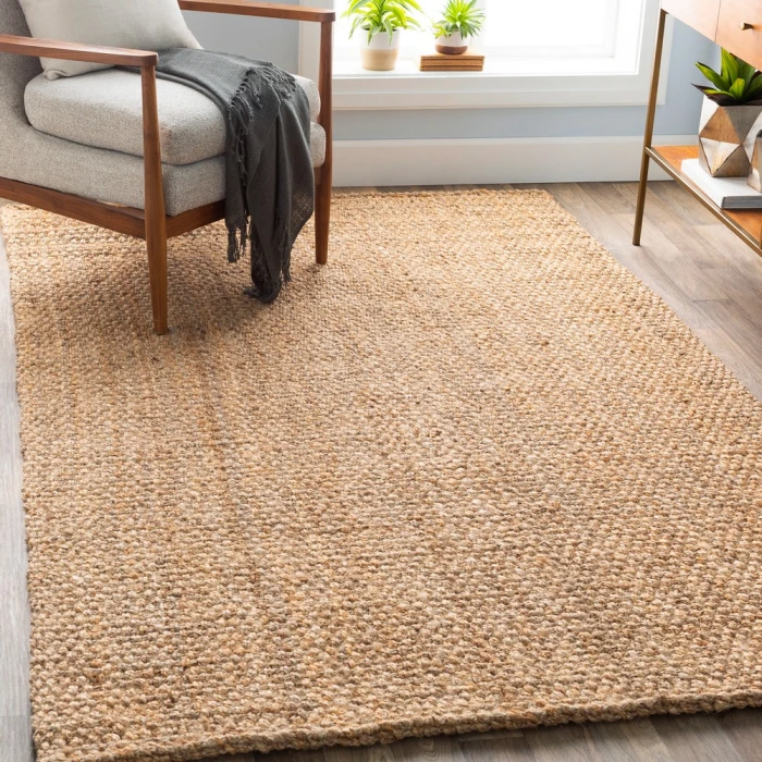 Livabliss Jute Woven JS-2-9x13 rug