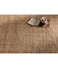 Livabliss Jute Woven JS-2-2x3 rug