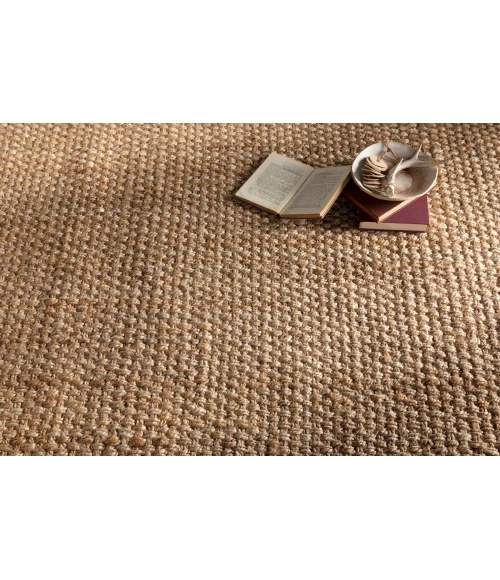 Livabliss Jute Woven JS-2-2x3 rug