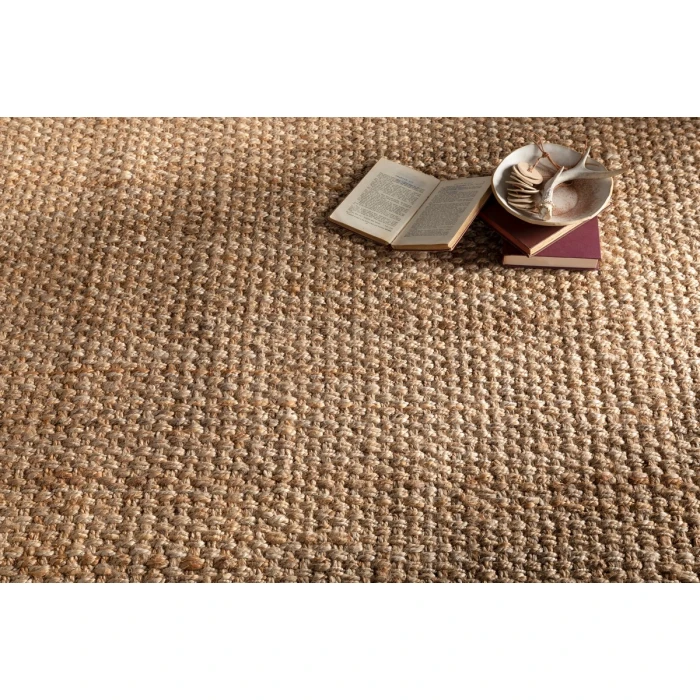 Livabliss Jute Woven JS-2-9x13 rug