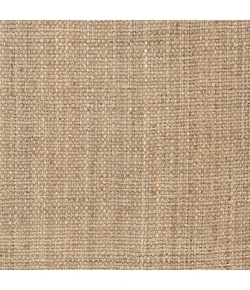 Livabliss Jute Woven JS-2-2x3 rug